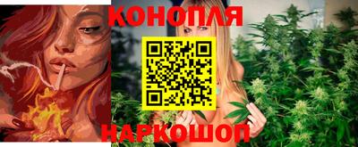 гидра Рязань