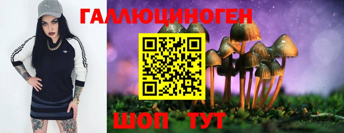 Галлюциногенные грибы прущие грибы  Вход с VPN  Октябрьский 